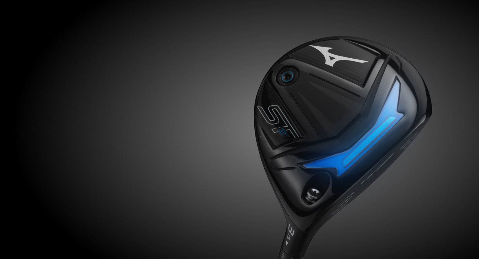 Mizuno Woods