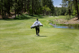 2027 Ping Hoofer Golf Bag