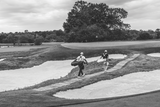 2026 Titleist Links Legend Members Stand Bag