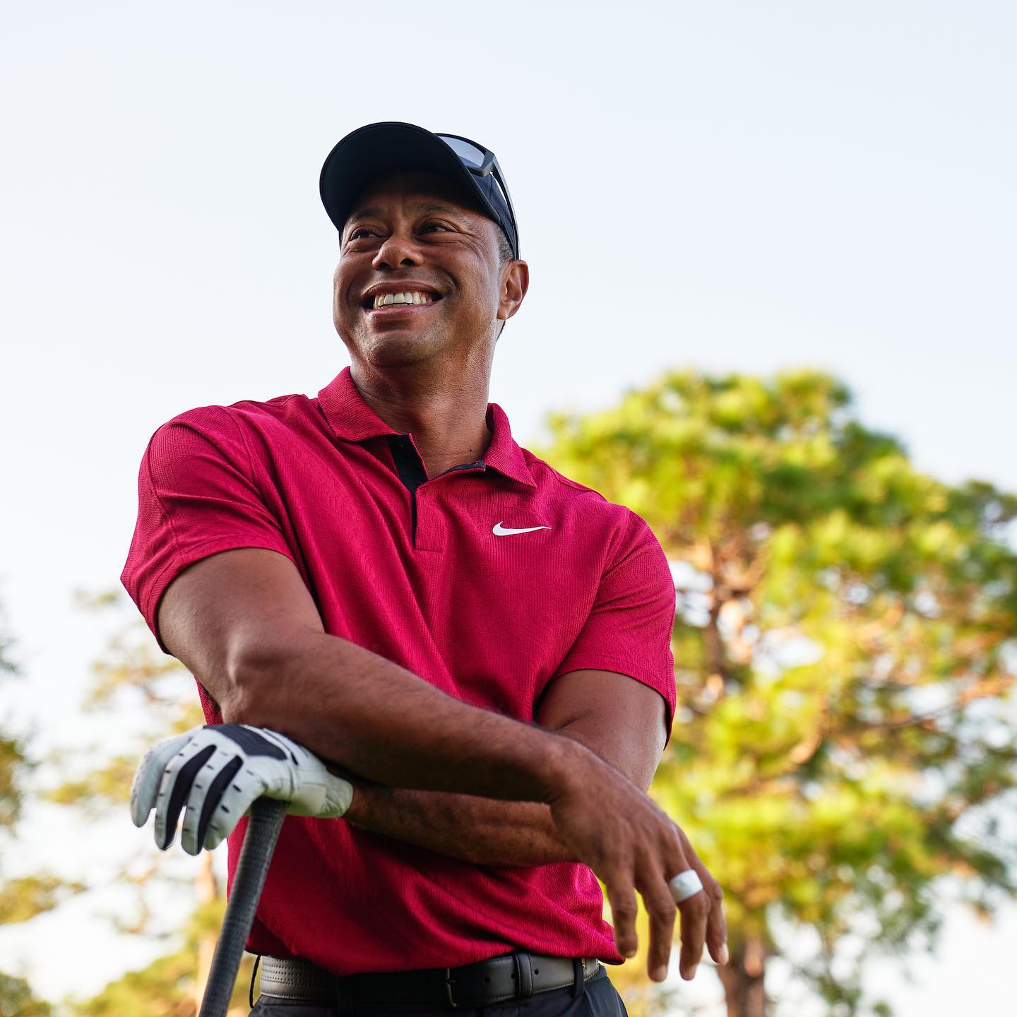 Bridgestone Golf - Tiger Woods