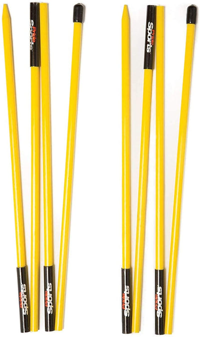 Pride Alignment Sticks